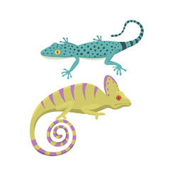 Different kind of lizard reptile isolated vector illustration.