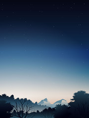 Fototapeta premium deep forest landscape when sunset 2