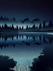 high angle view of deep pine forest landscape and river when night