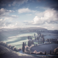 Naklejka premium Vintage Rural Landscape with Cypress