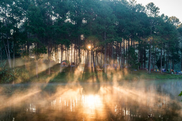 Scenic pine forest light shine on reservoir at pang oung - obrazy, fototapety, plakaty
