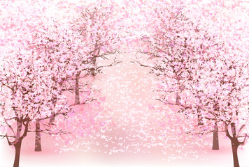 Fototapeta premium 桜 春 花 背景 