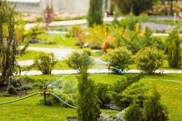 Sprinkle on a green lawn