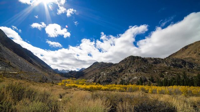Timelapse of Fall Foliage along Creek in Eastern Sierra -Zoom In-