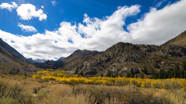 Timelapse of Fall Foliage along Creek in Eastern Sierra -Zoom Out-