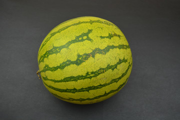 Green watermelon on black background