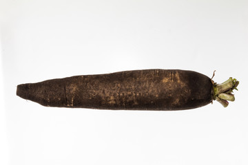 かわったダイコン　Colorful strange Japanese radish