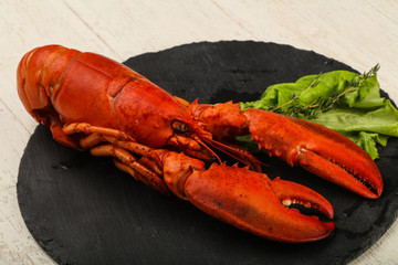 Lobster