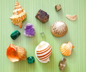 sea shells and stones on green background