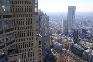 Fototapeta na wymiar 地上202メートルより望む東京の風景