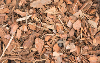Chips of Pine Bark Background