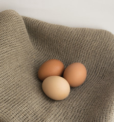 Three Brown Chicken Eggs