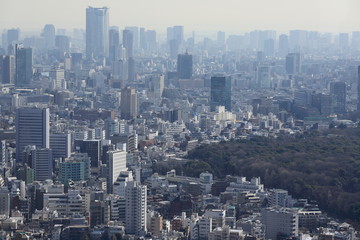 春霞に煙る大都市・東京の風景