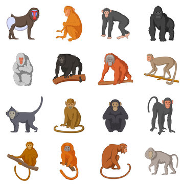 Different monkeys icons set, cartoon style