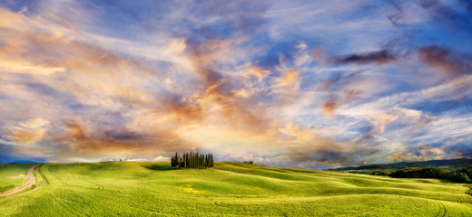 Tuscany - Landscape panorama,Toscana - Italy