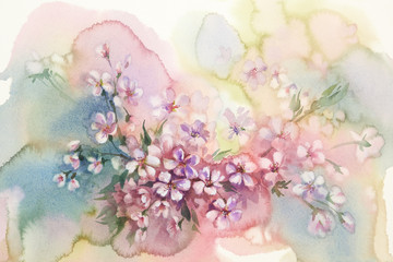 sakura bloom watercolor © Egle