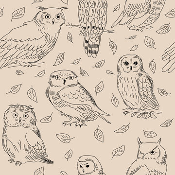 Seamless texture of cute owls with leaves