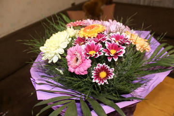 Beautiful bouquet of flowers, ready for gift