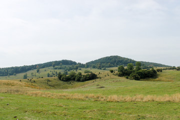 Summer time in the nature under the heat