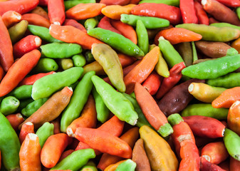 Fresh chili on white background 