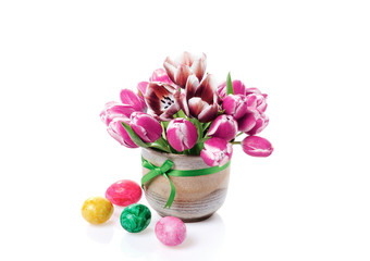 Tulips in a flowerpot with easter eggs isolated on white background