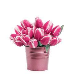 Pink tulips in a flowerpot isolated on a white background