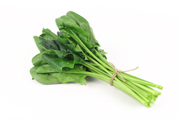 fresh spinach, high protein and amino acids