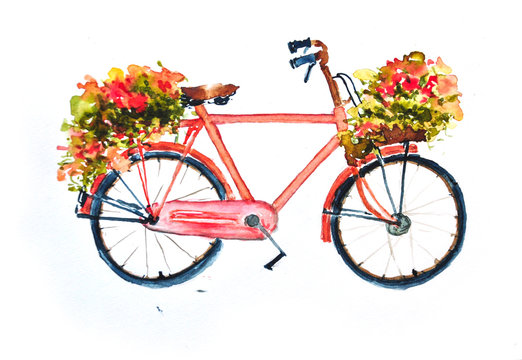 Red retro bicycle nd flowers  on white, watercolor  painting
