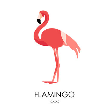 Flamingo vector icon. Logo. Flat design.