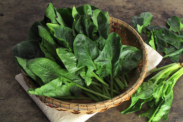 fresh spinach, high protein and amino acids