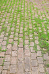 Stone block with grass pavement