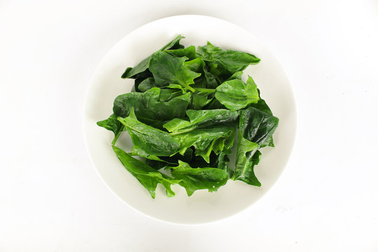 fresh spinach, high protein and amino acids