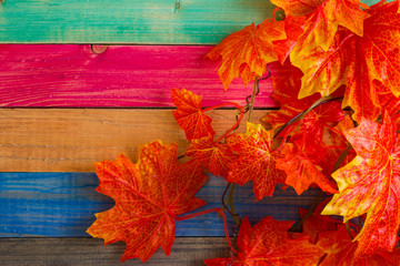 Decorative maple leaves on a wooden multicolored background
