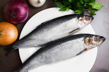 Herring on a marble table and ingredients. Tasty dish.