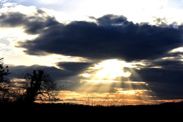 Landscape at sunset