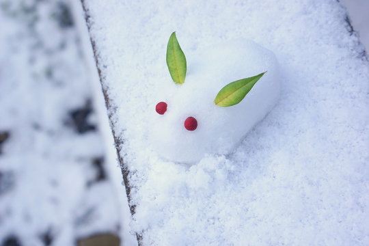 雪うさぎ Images – Browse 1,174 Stock Photos, Vectors, and Video