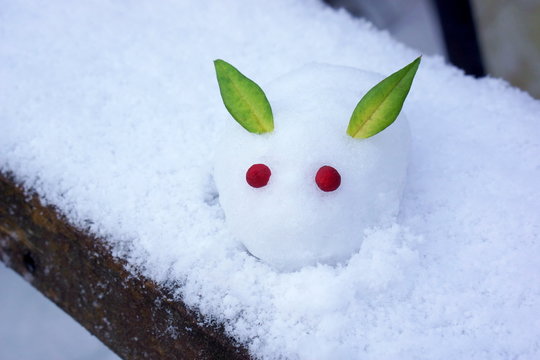 雪うさぎ Images – Browse 1,170 Stock Photos, Vectors, and Video