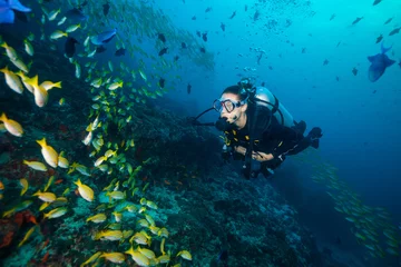 Crédence de cuisine en verre imprimé Plonger Plongée sous marine femme explorant le fond de la mer