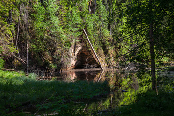 View of river Gauja green bank with reflection in the water. Gauja National park, Latvia.