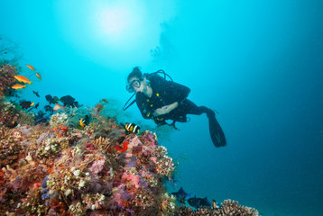 Naklejka na ściany i meble Woman scuba diver exploring sea bottom