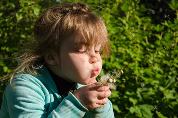 Little girl blowing a dandelion on sunny day