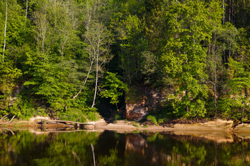 View of river Gauja green bank with reflection in the water. Gauja National park, Latvia.