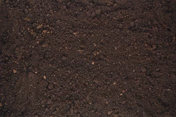 Poster Fertile soil texture background seen from above, top view. Gardening or planting concept with copy space. Natural pattern © wstockstudio