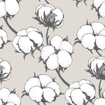 Vector seamless pattern with cotton plants. Branches with flowers background.