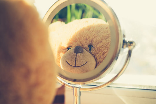 Teddy bear looking at myself in the mirror