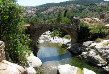 Fototapeta na wymiar The Genoese bridge of Albertacce on Golo River near Casamaccioli, Corsica