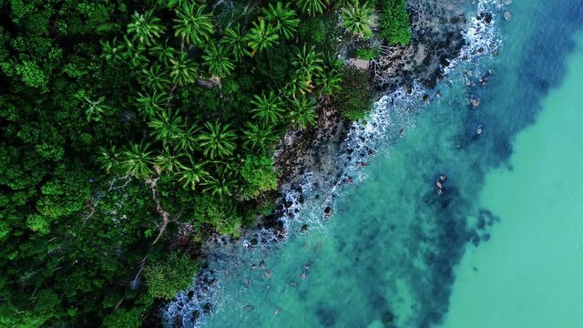 blue ocean with breaking waves in front of a palm forest