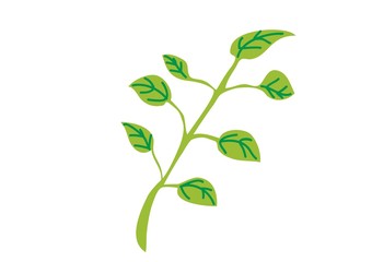 drzewo,ptaki,rośliny © monikakosz