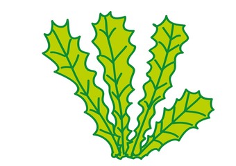 drzewo,ptaki,rośliny © monikakosz