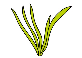 drzewo,ptaki,rośliny © monikakosz